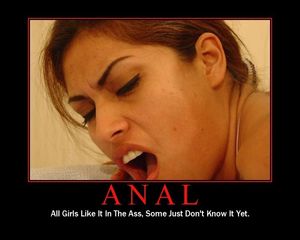funny anal sex memes